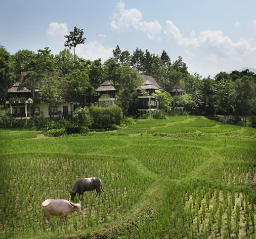 Chaing Mai Villa for sale - Landscape imagery